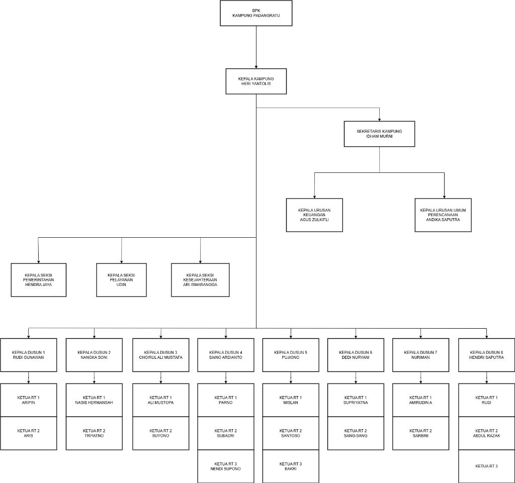 Struktur Organisasi Desa Padangratu